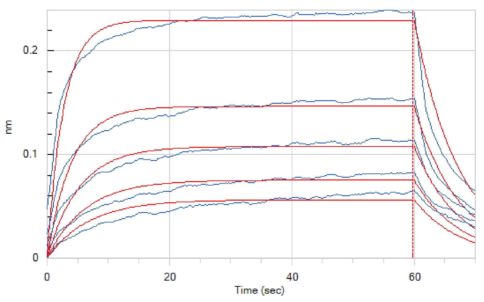Human CD16a +BLI-1.jpg